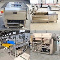 Mango Aardappel Gember Bubbelwaslijn Ultrasone Fruit- en Groenteverkookmachine Maniokblancheringsmachine