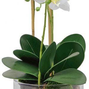 Centros de Mesa con Bola de Flores para Decoración de Bodas, con Orquídeas Blancas, para Decoración Interior y Exterior - Product Image 4