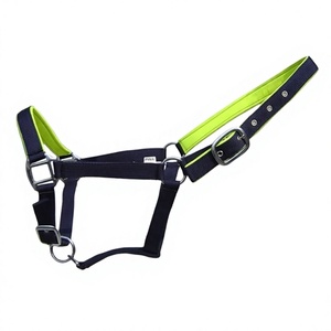 Poly Propylene <b>Halter</b> with contrast color padded and Iron Fitting, Horse <b>Halter</b> Equestrian <b>Halter</b> Customized Horse <b>Halter</b> - Product Image 1