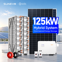 Sistem Energi Surya Hibrida Terintegrasi Solis 30kW 100kW 125kW 500kW Dengan Berbagai Pilihan Daya untuk Pertanian Surya dan Mikrogrid