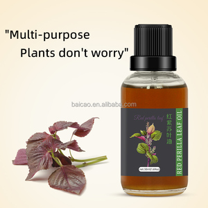 Harga diskon 100% minyak esensial daun <span class=keywords><strong>Perilla</strong></span> merah alami murni dalam jumlah besar - Product Image 4