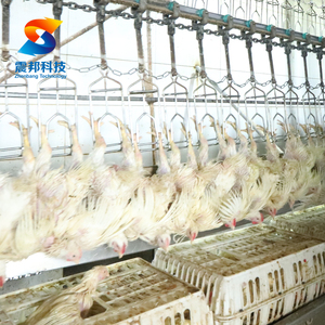 300BPH-15000BPH Machine de <span class=keywords><strong>boucherie</strong></span> <span class=keywords><strong>halal</strong></span> Cartel d'abattoir Machine d'abattage d'abattoir - Product Image 6