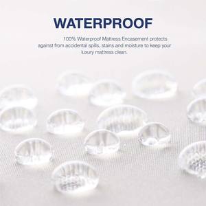 Drap lavable réutilisable <span class=keywords><strong>taille</strong></span> Queen Size, 1 pièce, protection <span class=keywords><strong>de</strong></span> matelas imperméable, contre les insectes <span class=keywords><strong>de</strong></span> <span class=keywords><strong>lit</strong></span> - Product Image 2