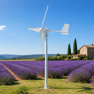 Générateur éolien horizontal à 3 pales, faible bruit, certifié CE, 1 kW, pour utilisation marine sur bateau - Product Image 2