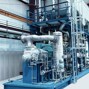 Système de purification de biogaz PSA 800 Nm³/h à prix imbattable, équipement monté sur skid pour gaz biologique naturel (GNB) et GNC pour restaurants - Product Image 3