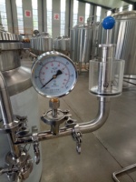 Cuve de brassage horizontale en acier inoxydable 304 (3BBL, 5BBL, 10BBL) – Réservoir de stockage BBT, Unitank, Cuve sous pression, Pompe à alcool