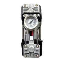 Compresseur d'air portable pour pneus de voiture, petite pompe pour voiture, taille 12V, gonfleur de pneus, modèle DB1880