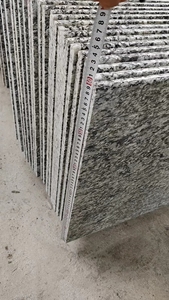 <strong>Factory</strong> Supplier Popular China Sea Wave Spray White Grey G4118 <strong>Granite</strong> Bullnose Stairs Tread and Countertop <strong>Slab</strong> Cheap Prices - Product Image 6