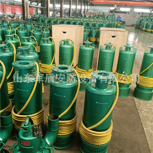 Pompe submersible anti-explosion pour drainage de sable Bqs Mine 60-260/2-110/Nkw 660v pour utilisation dans les mines - Product Image 1