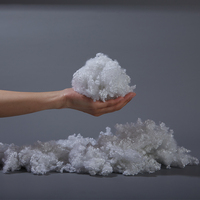 Recycled PET Fiber 3D Flame Retardant 100% Polyester Hollow Staple Fiber for Spinning Home Furnishings GRS/OEKO TEX 100