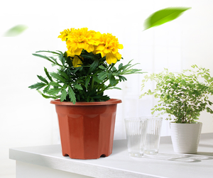 Macetas de plástico PP para exteriores Rojas redondas de estilo lujoso moderno, macetas grandes ecológicas para interiores para jardines urbanos, estilo vivero - Product Image 6