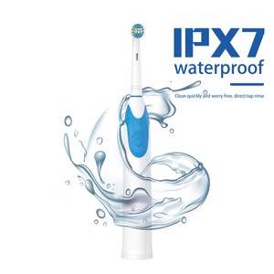HL-228F all'ingrosso spazzolino elettrico <span class=keywords><strong>ricaricabile</strong></span> per adulti per la cura orale per adulti spazzolino rotante per due miniute funzione di promemoria <span class=keywords><strong>B</strong></span> orale - Product Image 4