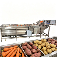Volledig automatische roestvrijstalen fruit- en groentewasmachine met motor voor sojabonen en maïs, capaciteit 100-500 kg/uur
