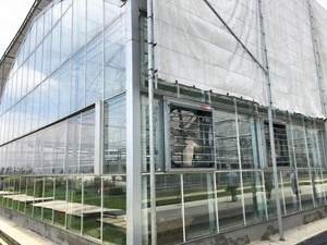 Kits de serre pour maison de culture de fleurs en verre trempé Venlo pour l'agriculture en plein air, résistant à la neige - Product Image 6