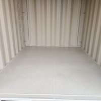 Conteneurs de transport maritimes ACE Brand de 6,5 pieds, 6 pieds et 8 pieds pour le transport maritime