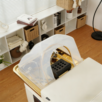 Lit de spa électrique moderne de luxe doré avec système de circulation d'eau, massage par shampoing, pliable et réglable |   Lit de salon multifonctionnel
