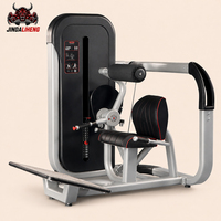 Machine d'extension dorsale avec pile de poids sélective pour l'entraînement en position assise des muscles lombaires et des érecteurs dorsaux