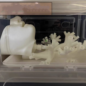 Nuevo Modelo Blanco Rígido de Cuarto Nivel para Enseñanza y Entrenamiento Médico en Broncoscopia, Árbol Bronquial - Product Image 5