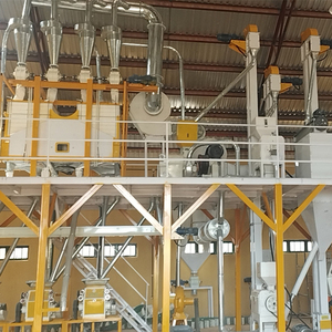 Machine de mouture de maïs entièrement automatique de 20 tonnes pour la production de semoule et de <span class=keywords><strong>farine</strong></span> de maïs blanc, destinée au marché du Mozambique - Product Image 2