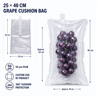 Sac thermoscellé pour raisins, emballage gonflable en PE à colonnes d'air, antichoc, pour le transport de fruits frais, multi-chambres, scellage robuste