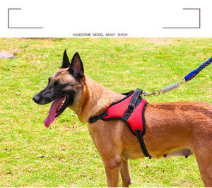 Kingtale Mesh Overhead verstellbar No Pull Weste Welpe Reflektieren des Haustier Hunde geschirr Pelz Massive Nylon Hunde leine Nylon Halsband für Hunde - Product Image 5