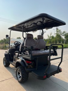 Carrito de Golf de Lujo de 4 Plazas con Batería de 48v/72v, Mini Carrito de Golf con Diseño de Lujo, Se Acepta Personalización - Product Image 2