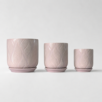 Pot de plante en céramique pour succulentes et cactus, design moderne et simple, petit format, pour la décoration du bureau ou du balcon