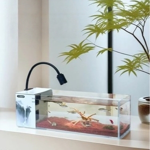 <span class=keywords><strong>Aquarium</strong></span> rectangulaire en verre ultra-blanc au design moderne, prix <span class=keywords><strong>d</strong></span>'usine en gros, pour <span class=keywords><strong>table</strong></span> <span class=keywords><strong>basse</strong></span> - Product Image 1