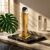 Masseur facial à marque privée OEM, modèle 8208, appareil de beauté anti-âge portable avec finition dorée