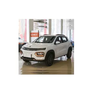 2023 2024 Dongfeng Nano kutusu ev SUV için fansız mini endüstriyel pc monitör 2022 gelişmiş typ mini elektrikli spor araba