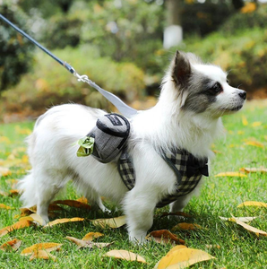 Accessoires d'entraînement pour animaux de compagnie, sacs à friandises pour chiens, distributeur de sacs à déjections, pochette à friandises pour chien pour les voyages en plein air - Product Image 2