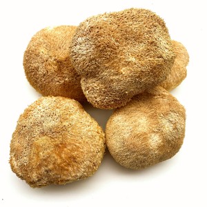 Funghi Criniera di Leone e Pom Pom Essiccati all'Aria 1kg Confezionati Sottovuoto in Contenitore di Vetro Dimensione 5-10cm - Product Image 4