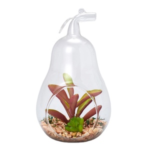<span class=keywords><strong>Terrarium</strong></span> verre en forme de perle, <span class=keywords><strong>plante</strong></span> d'extérieur, vente en gros - Product Image 2