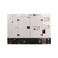 Générateur Diesel 20kW - /Weichai OEM, CE/ISO 30+ ans d'expérience, utilisation pour mini-constructeurs/stations de base