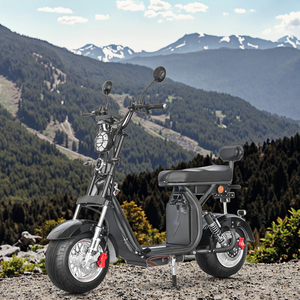 Motocicleta Mini para Adultos, Motor de 1000W - Product Image 1