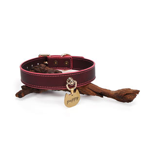 Ensemble de Contrainte de Punition à Changement de Température avec Bracelet, <span class=keywords><strong>Bande</strong></span> de <span class=keywords><strong>Cheville</strong></span> et Collier - Jeu SM Fouet pour Jouets BDSM pour Adultes - Product Image 4