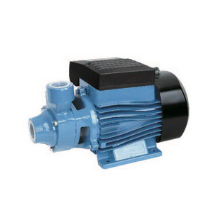 Bomba Eléctrica Periférica Mod Qb 0.37 Kw para Piscina, 27.5 cm de Largo, 13.5 cm de Ancho, 16.5 cm de Alto - Product Image 1