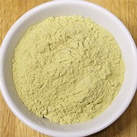 POLVO DE ALOE VERA ORGANICO Y NATURAL DE NUEVA CULTIVA CON PRECIO COMPETITIVO