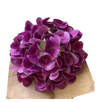 Kepala Bunga Hydrangea Buatan 3D Cetak 72 Kuntum, Grosir Untuk Dekorasi Taman, Dekorasi Air Terjun, Dan Dekorasi Bunga Pernikahan