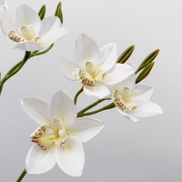 Bunga Anggrek Cymbidium Buatan Tangan 3 Tangkai dari Sutra, Buket DIY untuk Dekorasi Pernikahan, Pesta, Meja, Vanda, Aksesoris Dekorasi Rumah