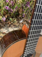 Aiersi remis professionnel tout en cèdre massif 7 cordes en nylon guitare classique espagnole à vendre