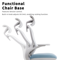 Chaise de bureau ergonomique en maille OEM ODM avec support lombaire, dossier haut, chaise de travail pour ordinateur, appui-tête réglable, BIFMA 10, pour bureau à domicile