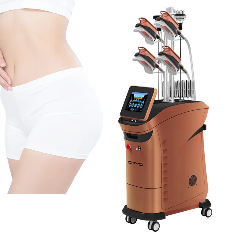 Ce Goedgekeurd 360 Cryolipolyse 4 Behandelt Vetvriesafslankmachine Voor Gezichts Schoonheid Cryotherapie Massage-Gewichtsverliesmachine