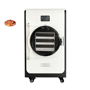Freeze Dryer Machine for Food Commercial Freeze Dryer for Food Vacuum Food Freeze Dryer - Product Image 5