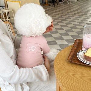 Nouveau pull de loisirs brodé en velours <span class=keywords><strong>allemand</strong></span> pour chiens et chats, collection Printemps/Été, pour <span class=keywords><strong>Pomeranian</strong></span>, Yorkshire Terrier, Bichon Frisé et petits chiens de compagnie - Product Image 4