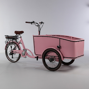 <span class=keywords><strong>Tricycle</strong></span> pour <span class=keywords><strong>adultes</strong></span> en promotion, directement de l'usine, <span class=keywords><strong>tricycle</strong></span> cargo familial avec ceintures de sécurité pour enfants - Product Image 5