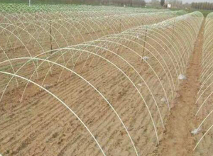Aros flexibles de fibra de vidrio para invernaderos y huertos elevados, aros de jardín resistentes a la oxidación para soporte de redes en filas de fresas - Product Image 4