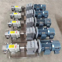 Pompe à lobes sanitaire à rotor à came, qualité alimentaire, pour le traitement des aliments et des fluides à haute viscosité, directement de l'usine