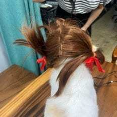 JHQRVVWD _ 4B Extensiones de Cabello de Perro Cachorro Podado de Oveja Flequillo de Calidad Premium PARA EL Cuidado Canino - Product Image 1