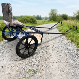 Mini-voiture de luxe à deux roues en acier, type calèche, avec sièges en cuir souple, pour 1 personne, chariot électrique de tourisme en promotion - Product Image 1